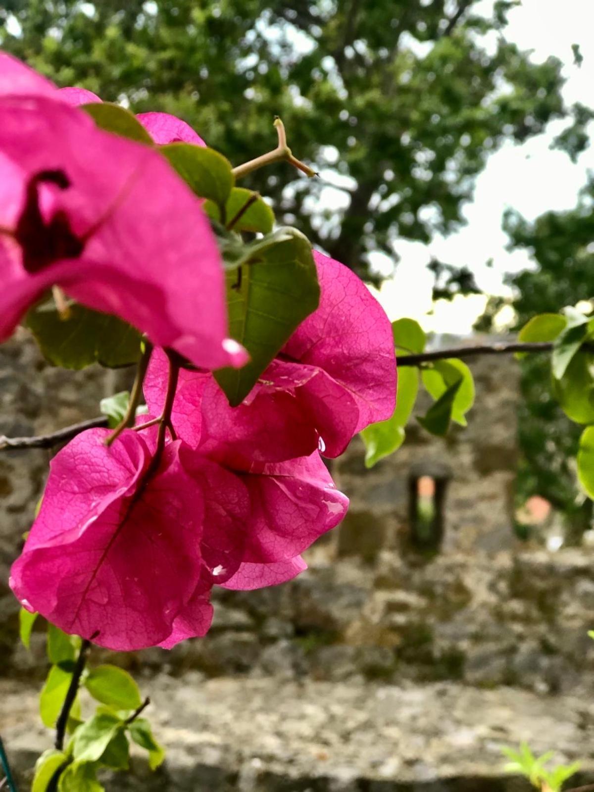 Sideroporta Castle Nafpaktos Guest House ภายนอก รูปภาพ